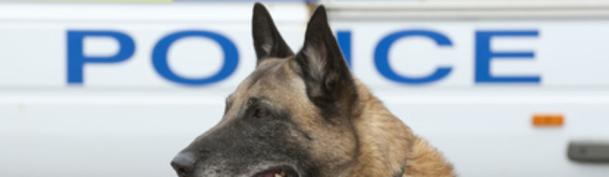 Haftungsfrage bei Biss durch Polizeihund